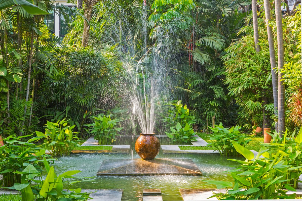 Créer un jardin exotique sous nos climats : la méthode facile 2023